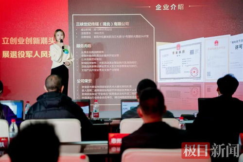 宜昌軍創(chuàng)企業(yè)閃耀“軍創(chuàng)杯”，躋身全省三強并賦能文化藝術(shù)交流